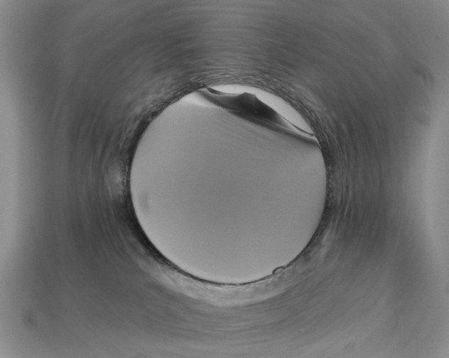 X0000113050039200909241504
