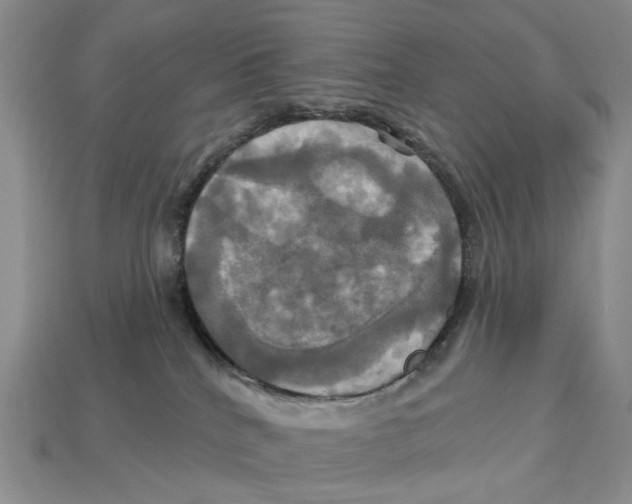 X0000113050040200909241504