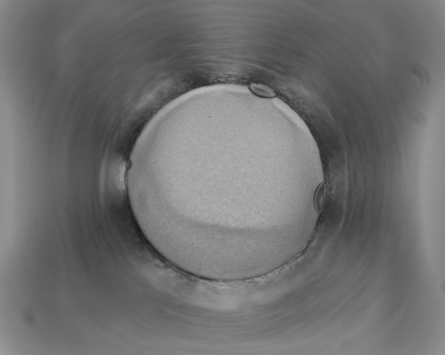 X0000113050041200909241504