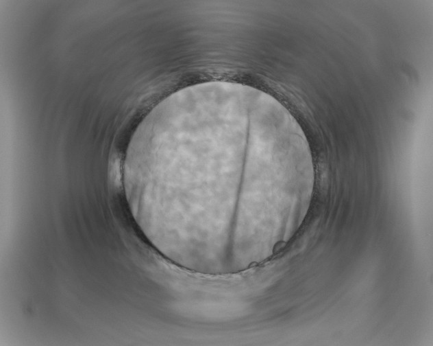 X0000113050042200909241504