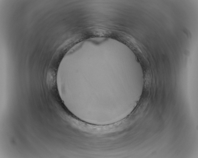 X0000113050043200909241504