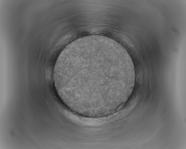 X0000113050044200909241504