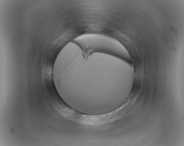 X0000113050045200909241504