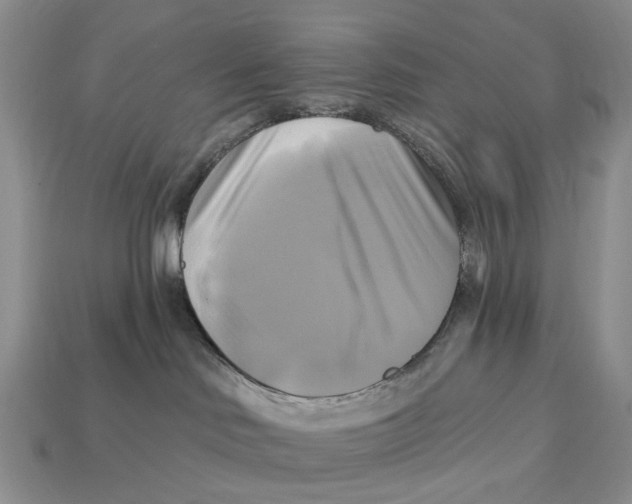 X0000113050046200909241504