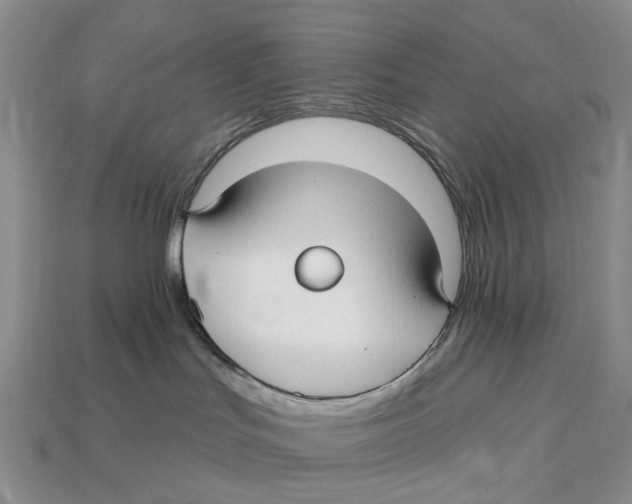 X0000113050047200909241504