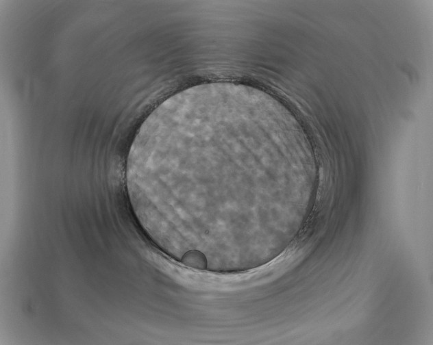 X0000113050048200909241504