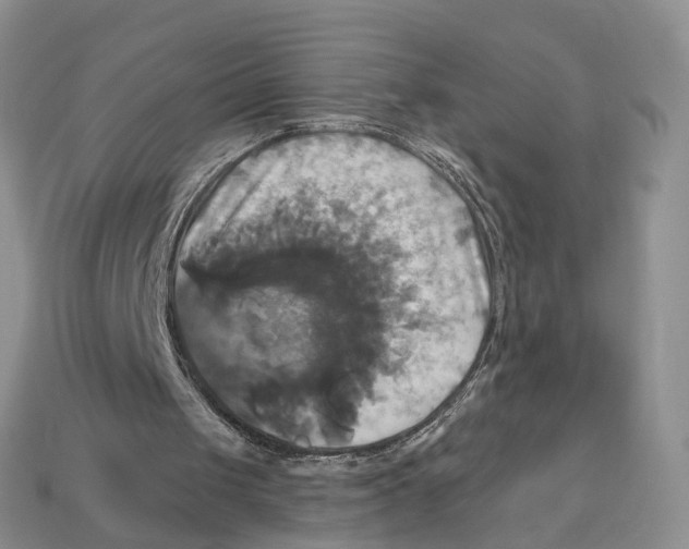 X0000113050049200909241503