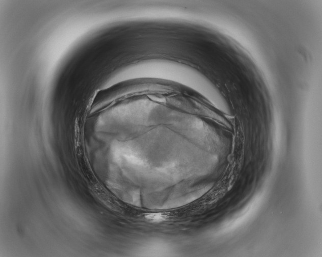 X0000113050050200909241503