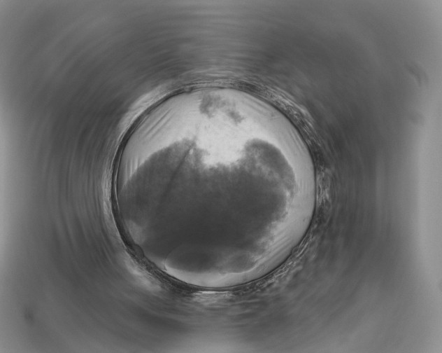 X0000113050051200909241503