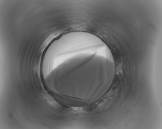 X0000113050052200909241503