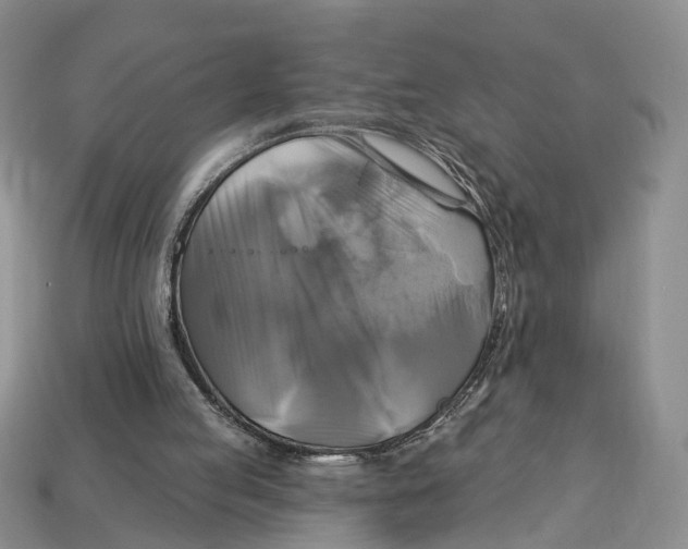 X0000113050053200909241503