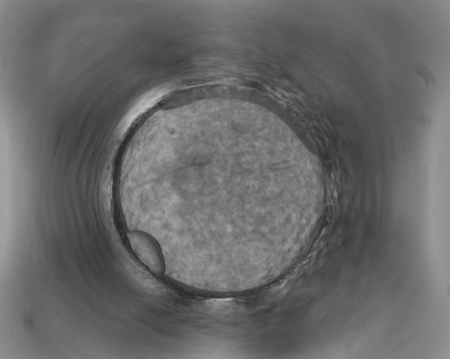 X0000113050054200909241503