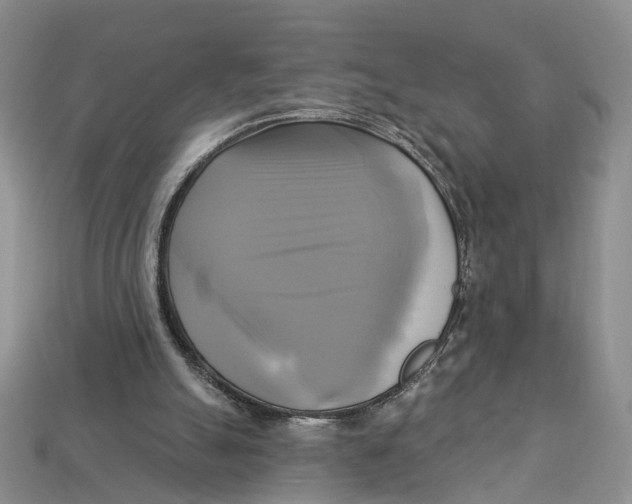 X0000113050055200909241503
