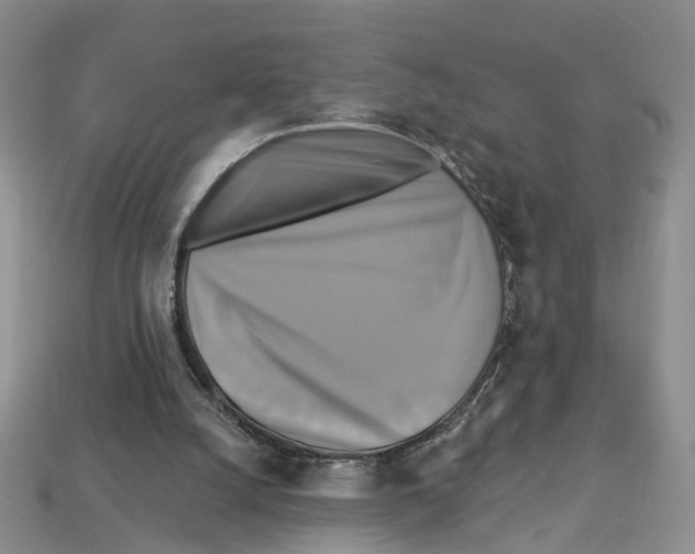 X0000113050056200909241503