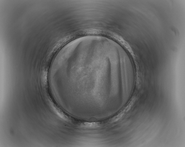 X0000113050057200909241503