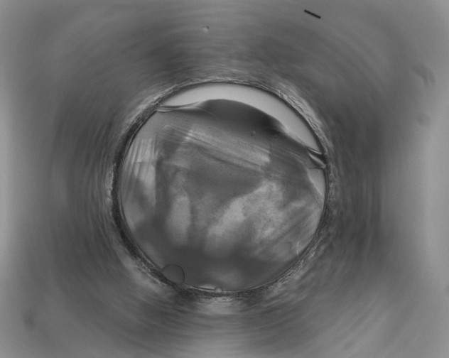 X0000113050058200909241503