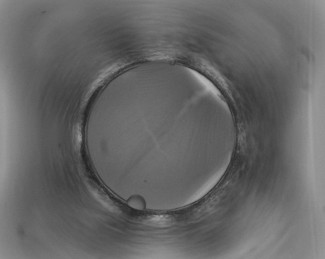 X0000113050059200909241503