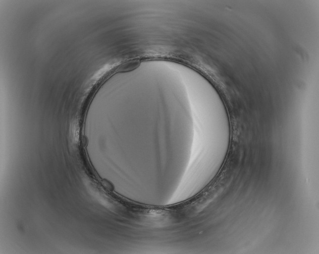 X0000113050060200909241503