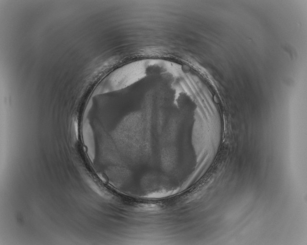 X0000113050061200909241504