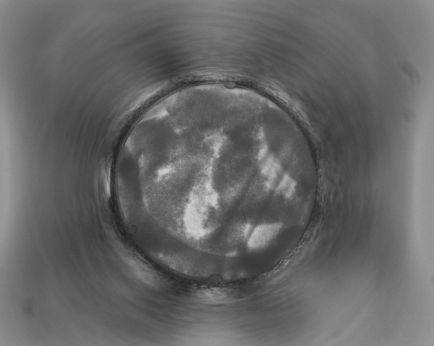 X0000113050062200909241504