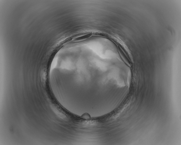 X0000113050063200909241504