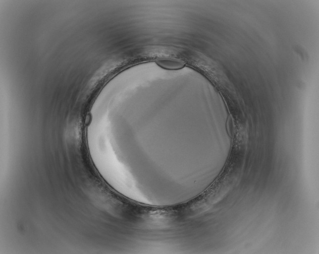 X0000113050064200909241504