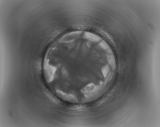 X0000113050065200909241504