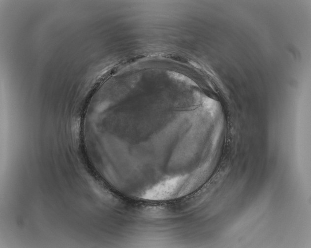 X0000113050066200909241504