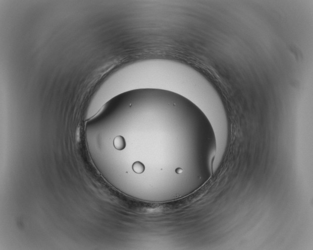 X0000113050068200909241504