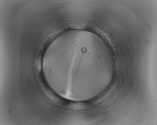X0000113050069200909241504