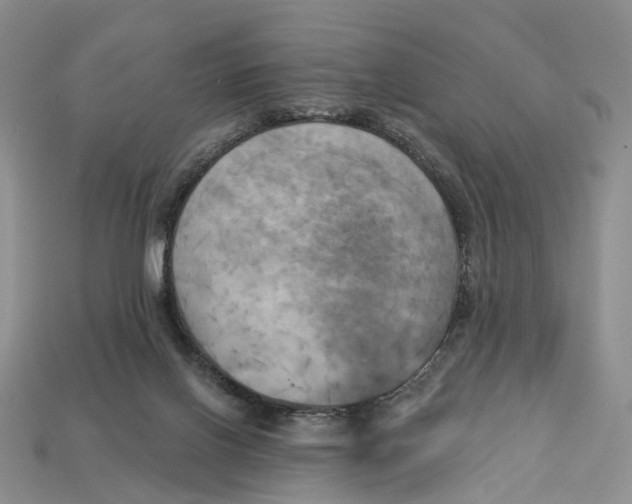 X0000113050070200909241504