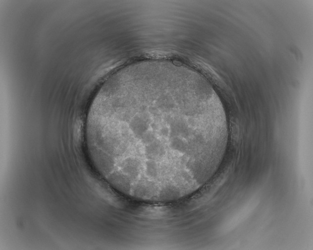X0000113050071200909241504