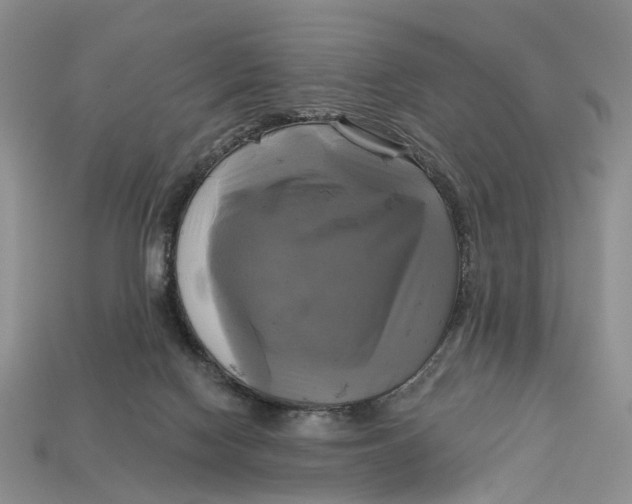 X0000113050074200909241504
