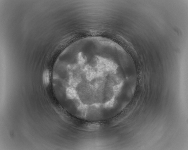 X0000113050075200909241504