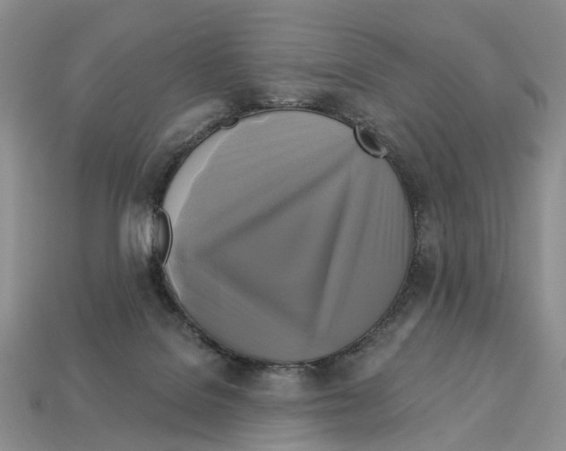 X0000113050076200909241504