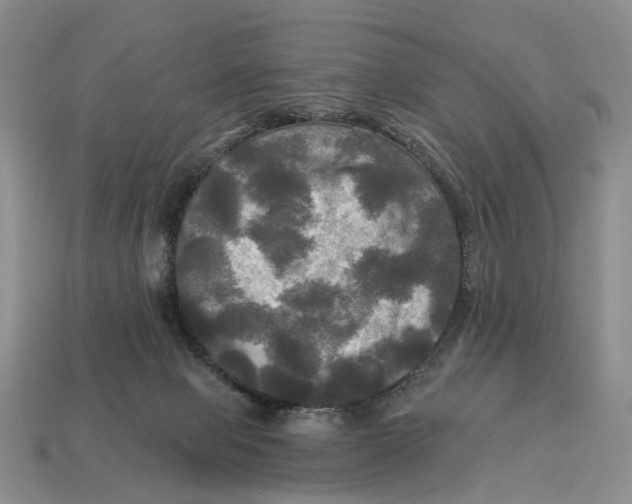 X0000113050077200909241504