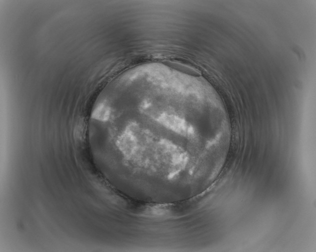 X0000113050078200909241504