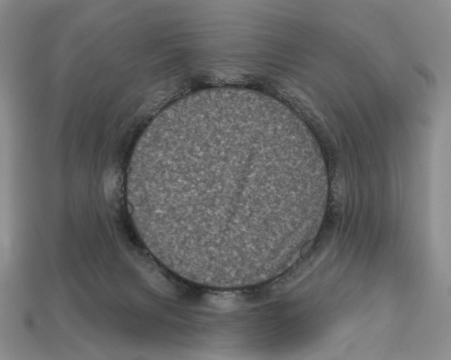 X0000113050079200909241504