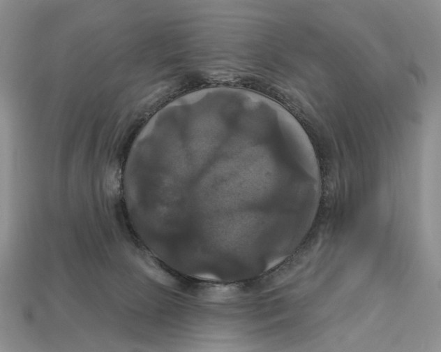 X0000113050081200909241504