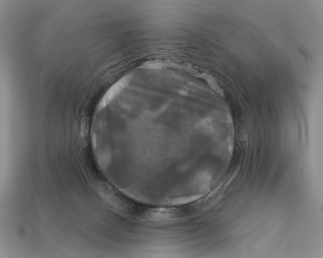 X0000113050082200909241504