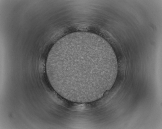 X0000113050083200909241504