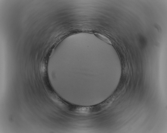 X0000113050084200909241504