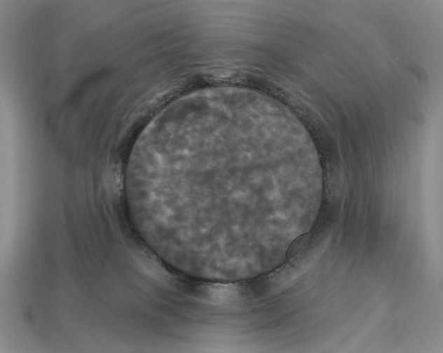 X0000113050085200909241504