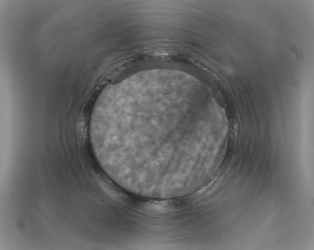 X0000113050086200909241504