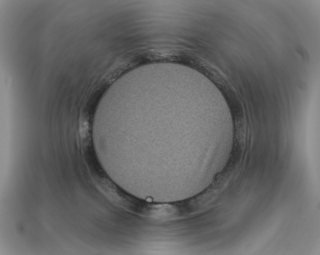 X0000113050087200909241504