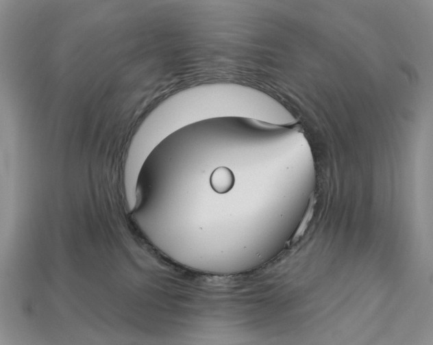 X0000113050088200909241504