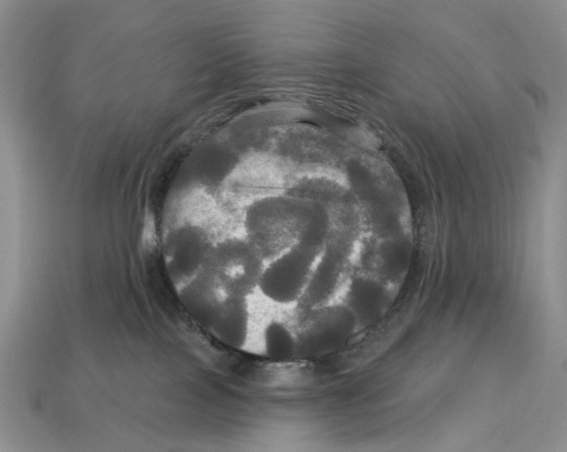 X0000113050089200909241504