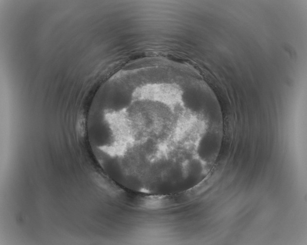 X0000113050090200909241504