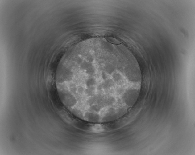 X0000113050091200909241504