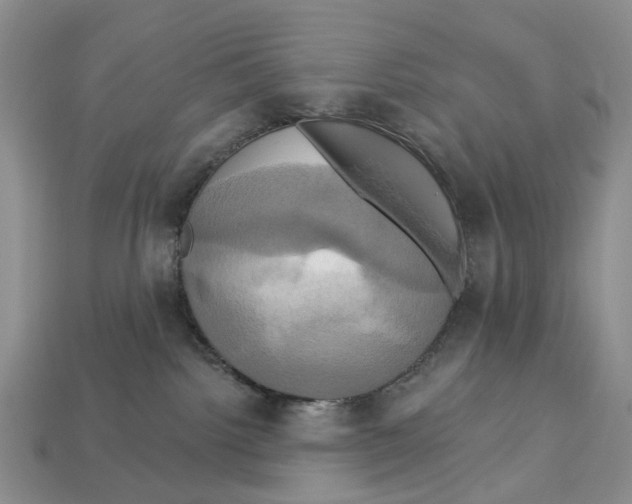 X0000113050092200909241504